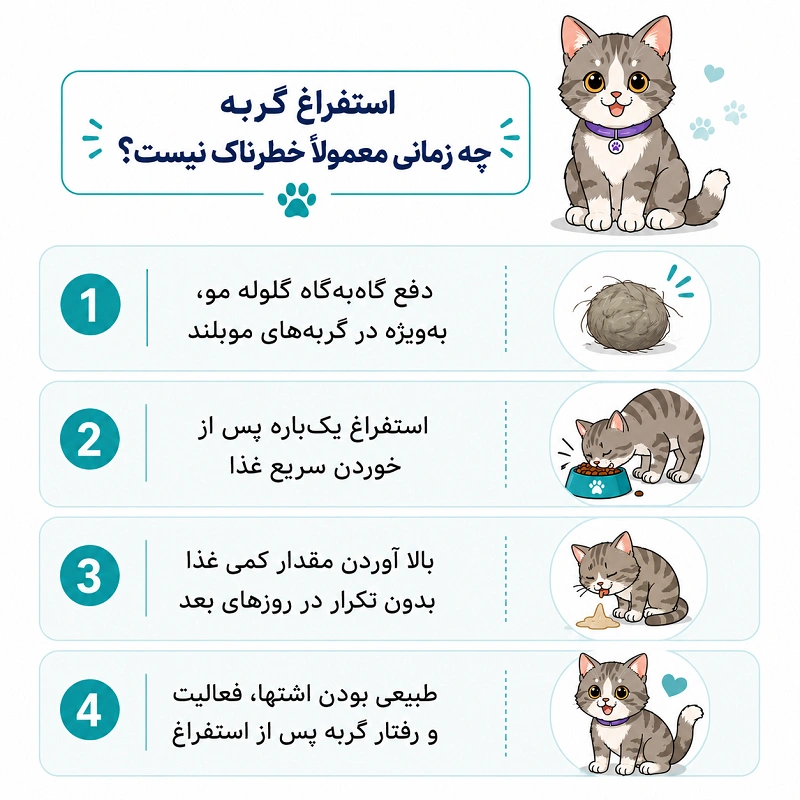 استفراغ گربه چه زمانی خطرناک محسوب نمی شود