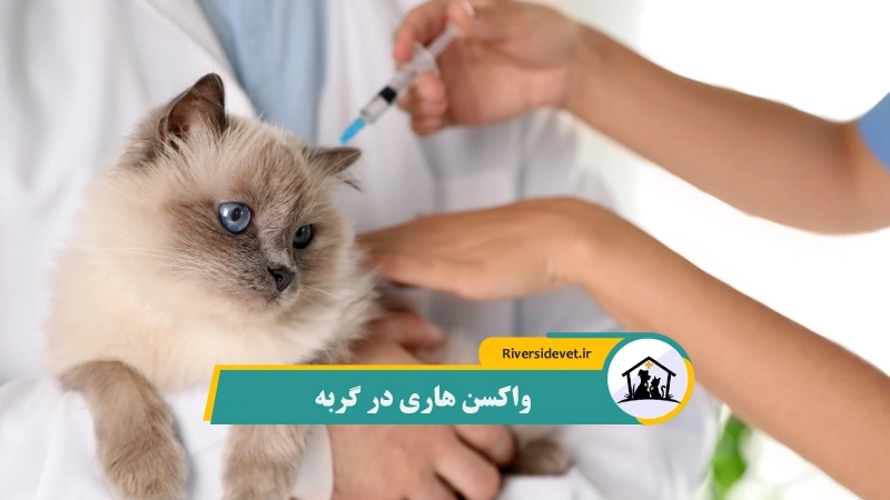 واکسن هاری گربه