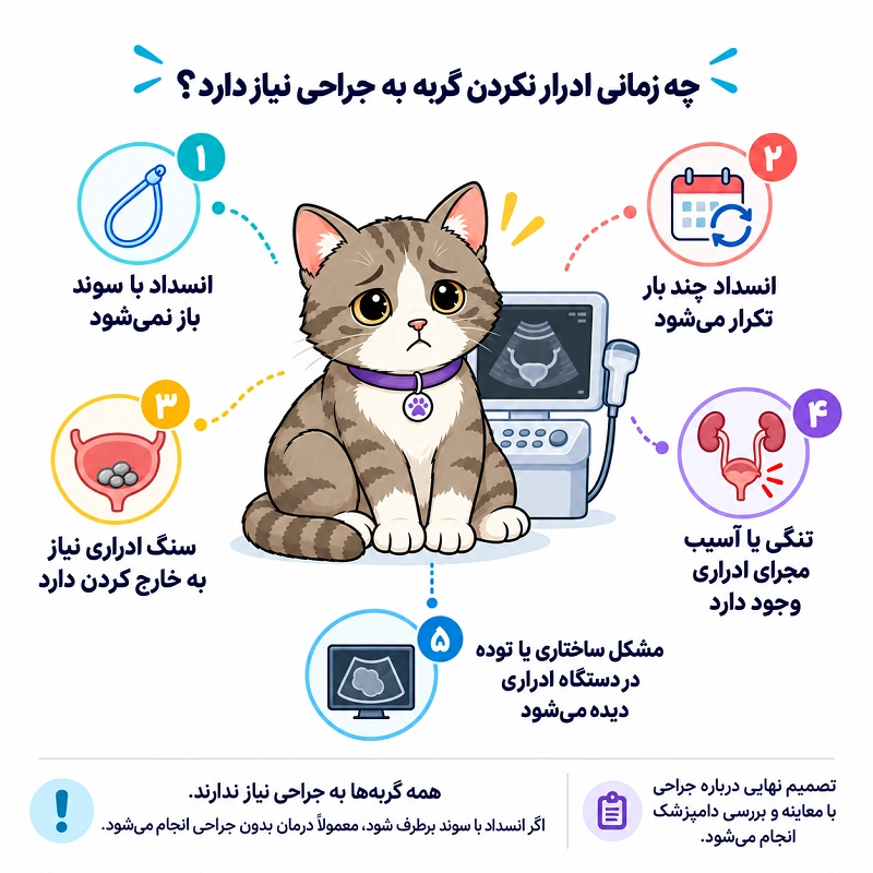 چه زمانی ادرار نکردن گربه به جراحی نیاز دارد