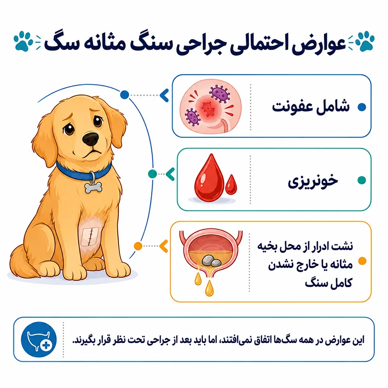 عوارض جراحی سنگ مثانه سگ