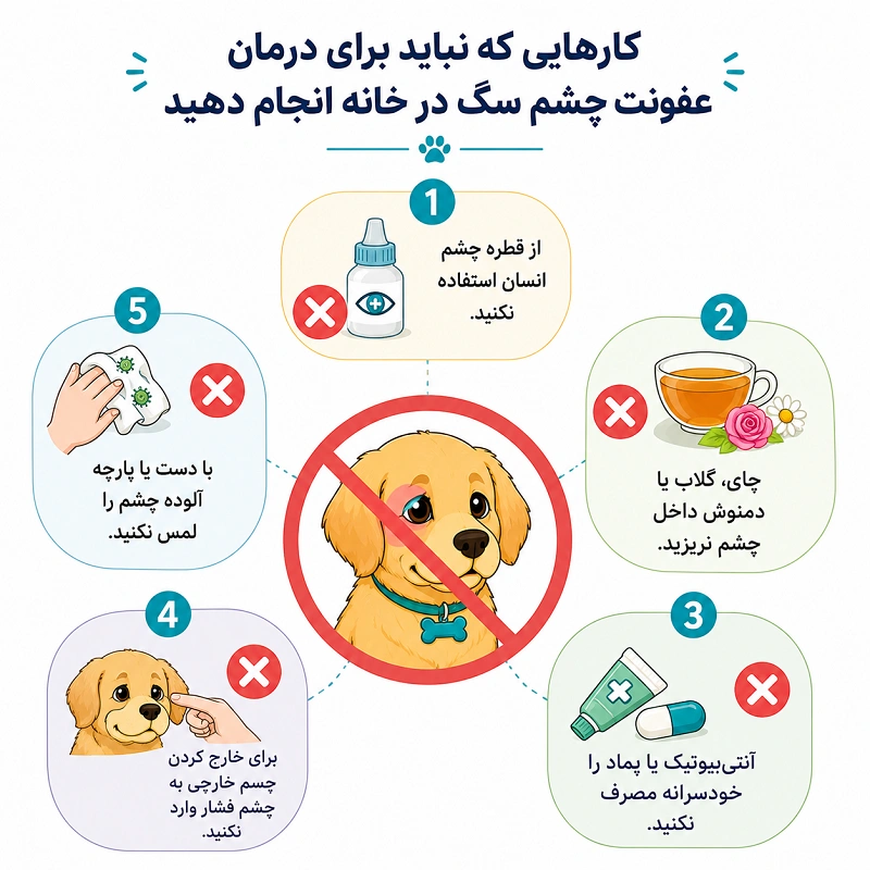 کارهایی که نباید برای درمان عفونت چشم سگ در خانه انجام دهید