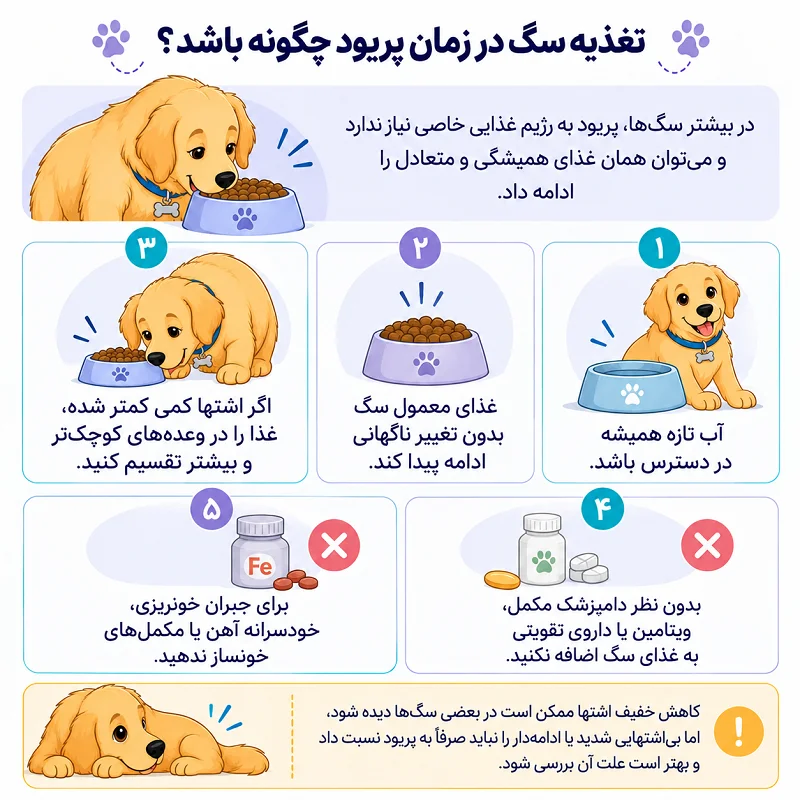 تغذیه سگ پریود چگونه باشد؟