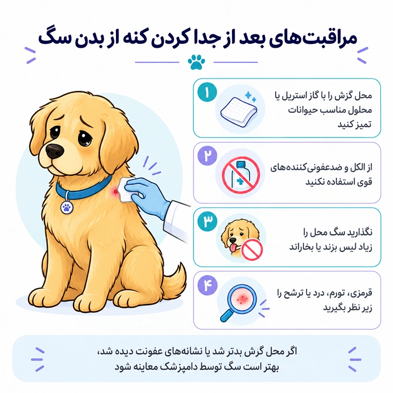 مراقبت های بعد از جدا کردن کنه از بدن سگ