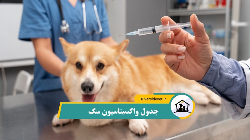جدول واکسیناسیون سگ