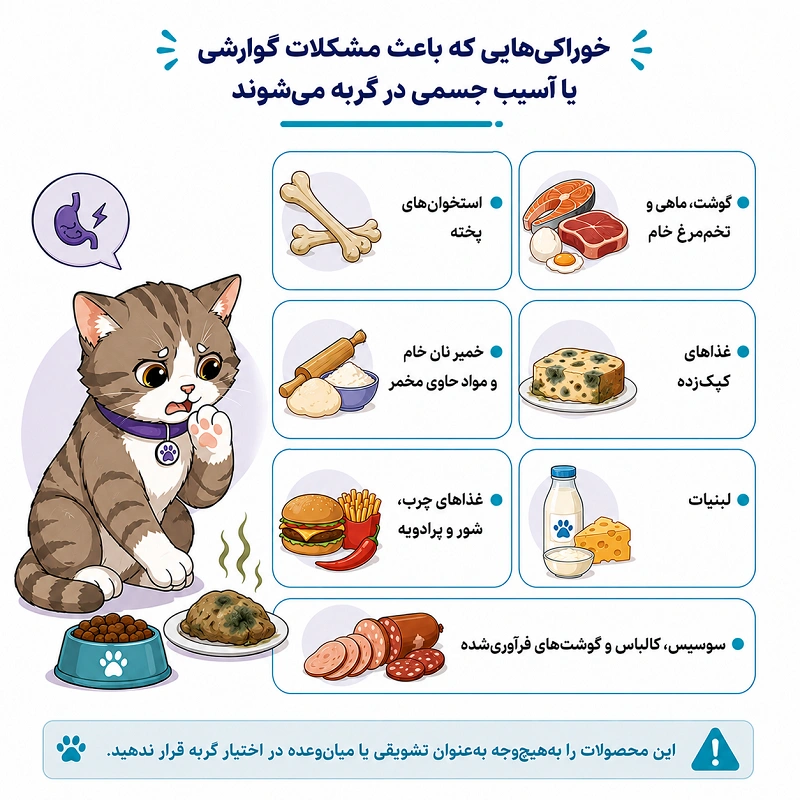 خوراکیهایی که باعث مشکلات گوارشی یا آسیب جسمی در گربه میشوند