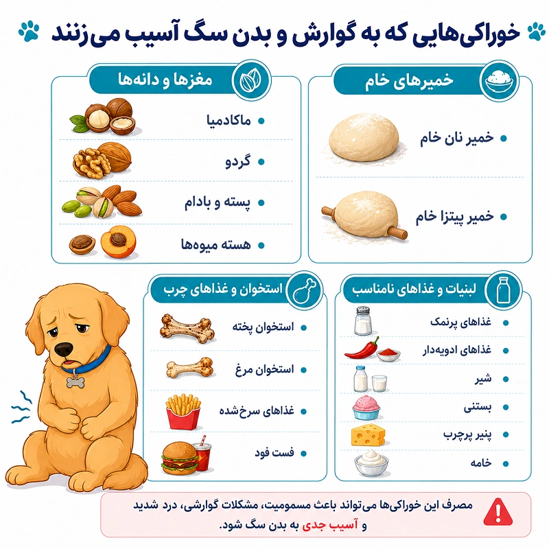 خوراکی‌هایی که باعث مشکلات گوارشی یا آسیب فیزیکی می‌شوند
