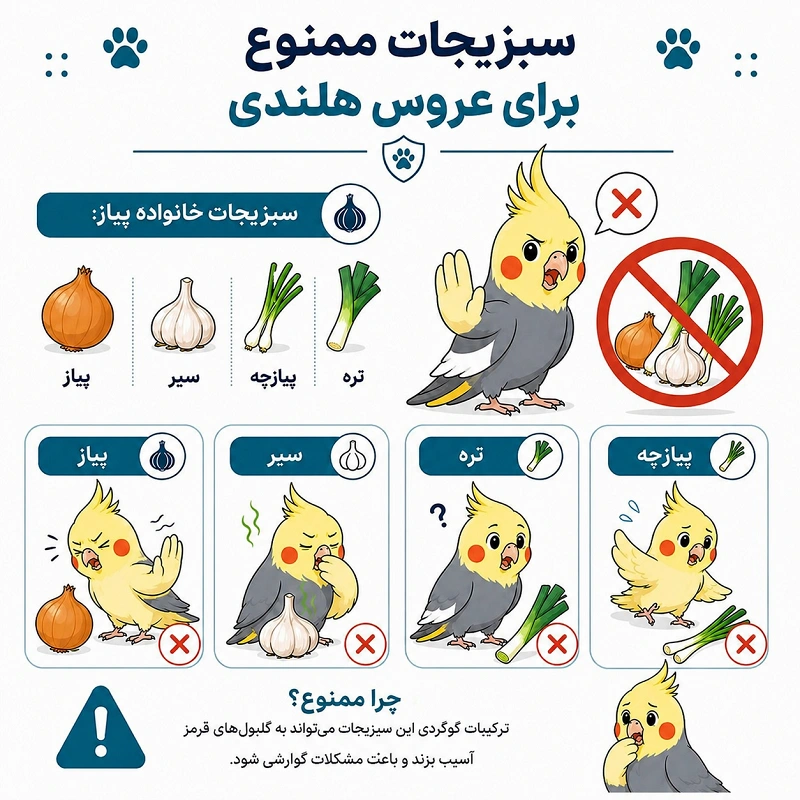 سبزیجات ممنوع برای عروس هلندی