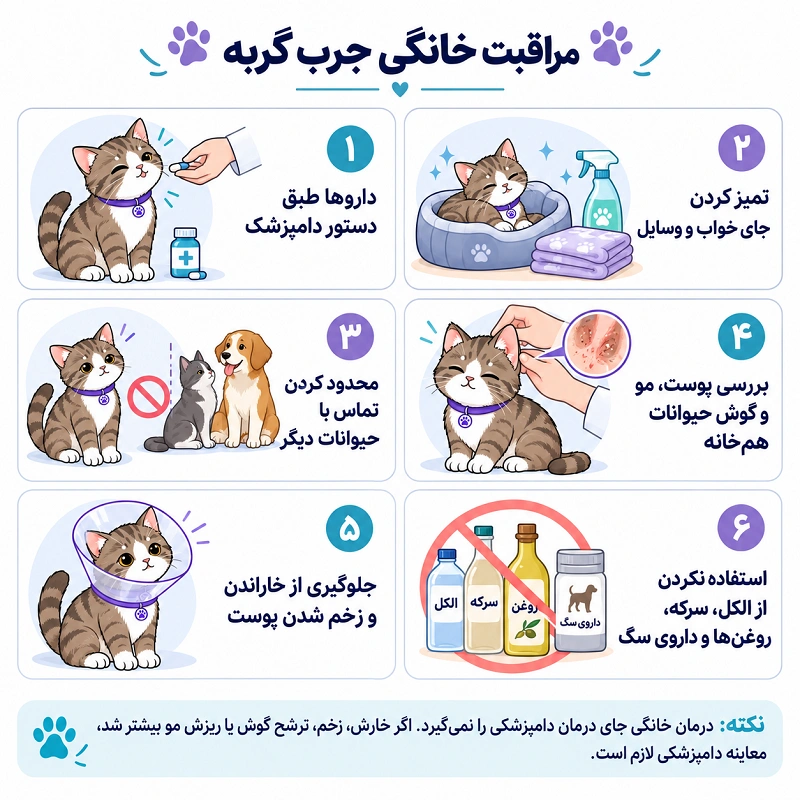 مراقبت خانگی جرب گربه