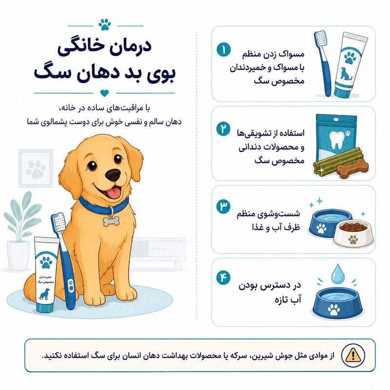 چگونه بوی بد دهان سگ را در خانه درمان کنیم؟