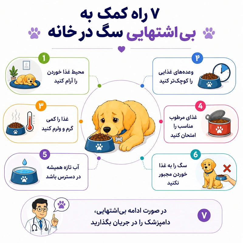 درمان خانگی بی اشتهایی سگ