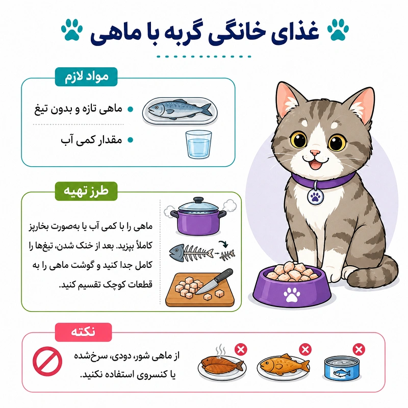 تهیه غذای خانگی برای گربه با ماهی