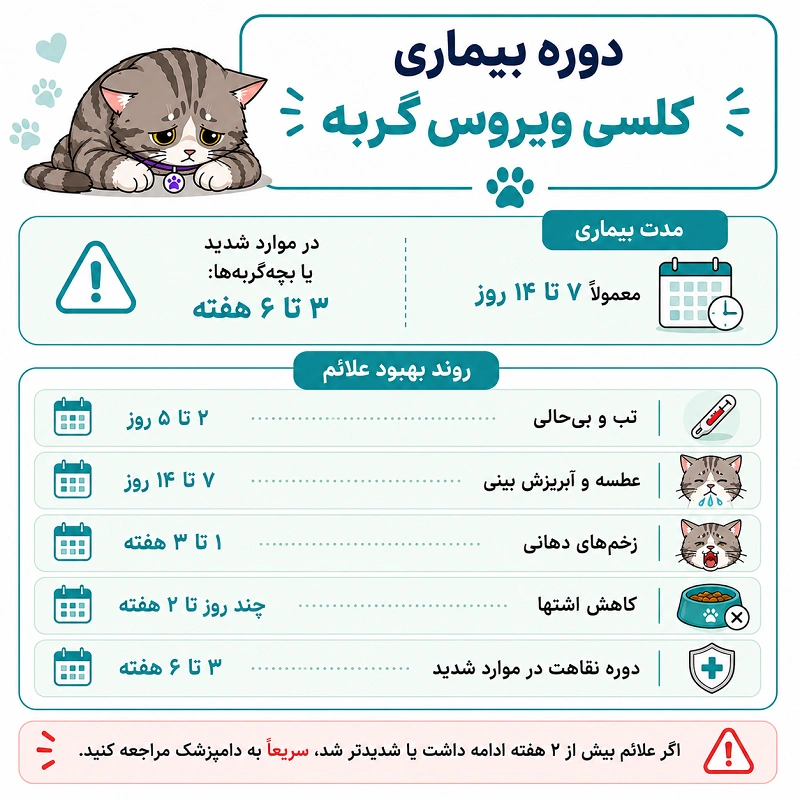 دوره بیماری کلسی ویروس گربه چقدر طول میکشد؟
