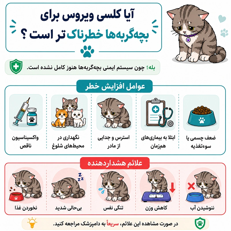 آیا کلسی ویروس برای بچه گربه خطرناک تر است