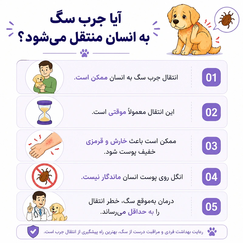انتقال جرب سگ به انسان
