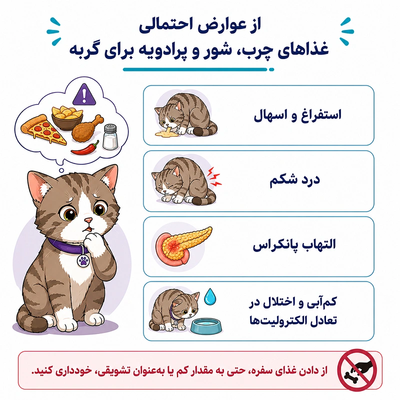 عوارض احتمالی غذاهای چرب، شور و پرادویه برای گربه