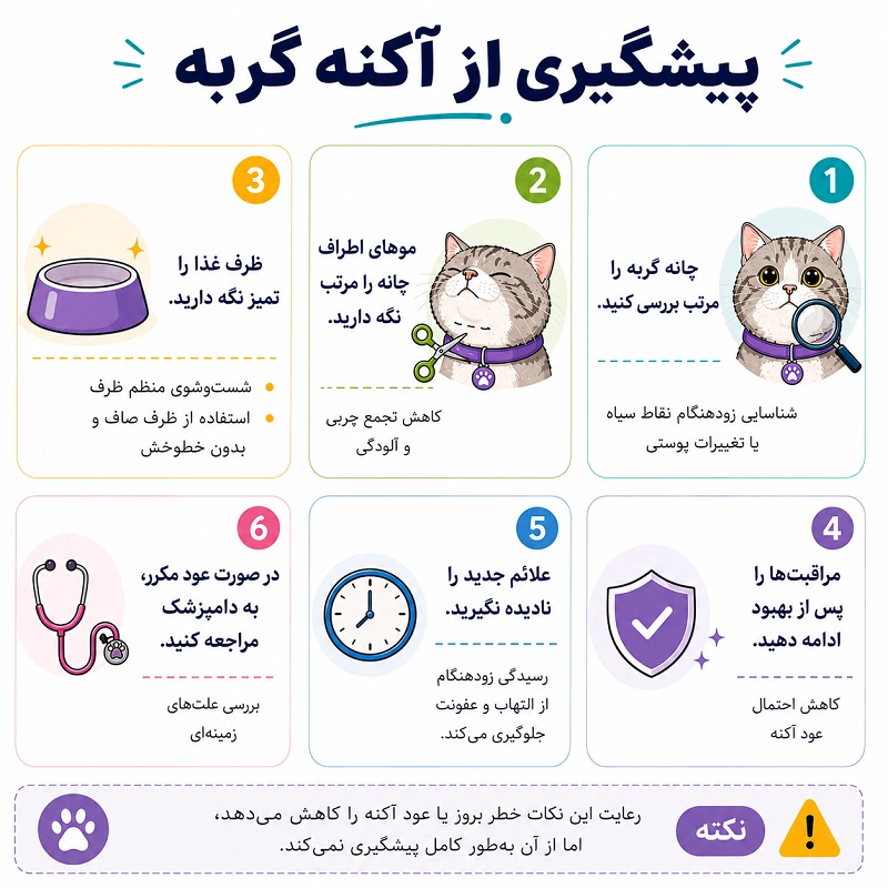 پیشگیری از آکنه گربه
