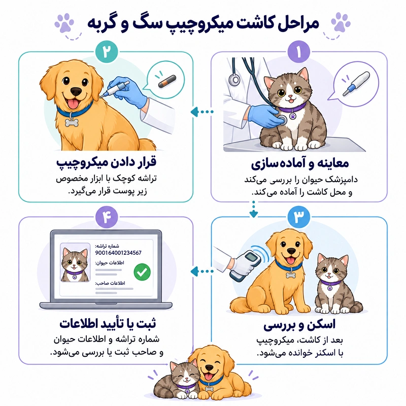 مراحل کاشت میکروچیپ سگ و گربه