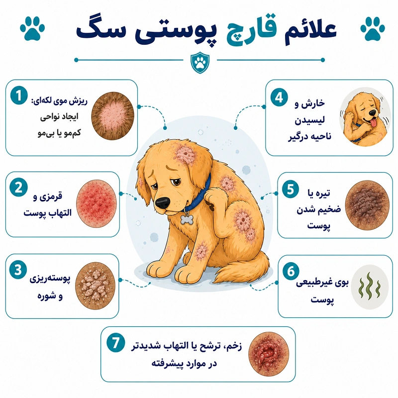 علائم قارچ پوستی در سگ