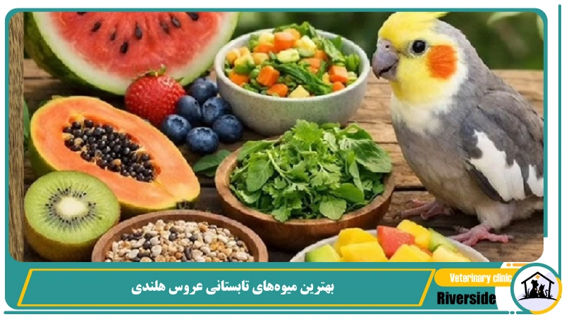 بهترین میوه های تابستانی برای عروس هلندی