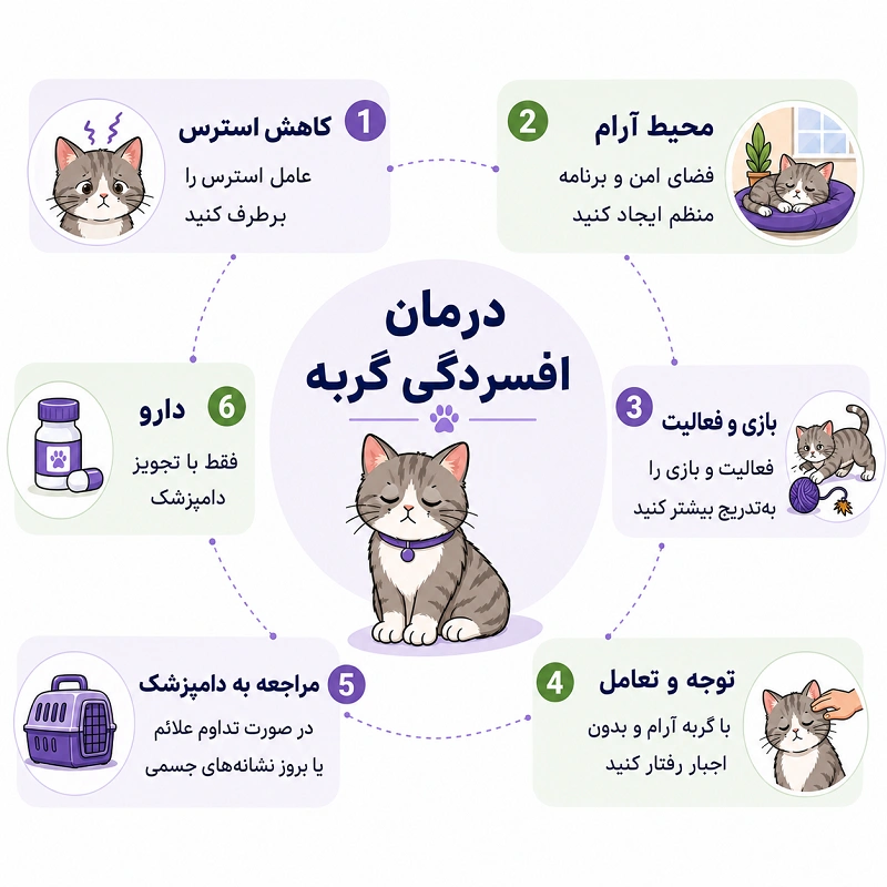 درمان افسردگی گربه