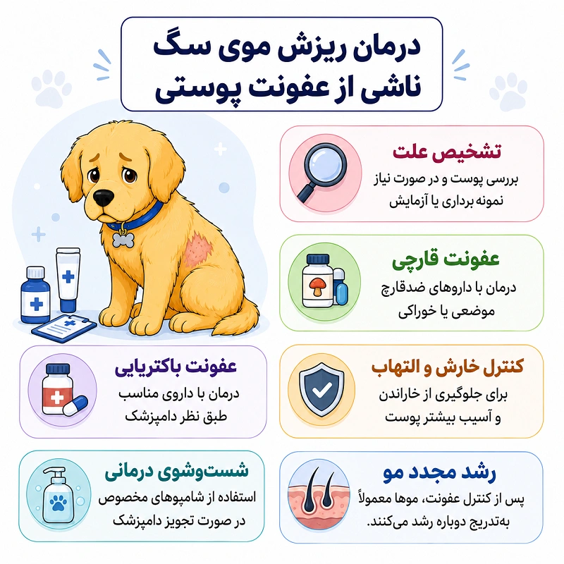 درمان ریزش موی سگ ناشی از عفونتهای پوستی