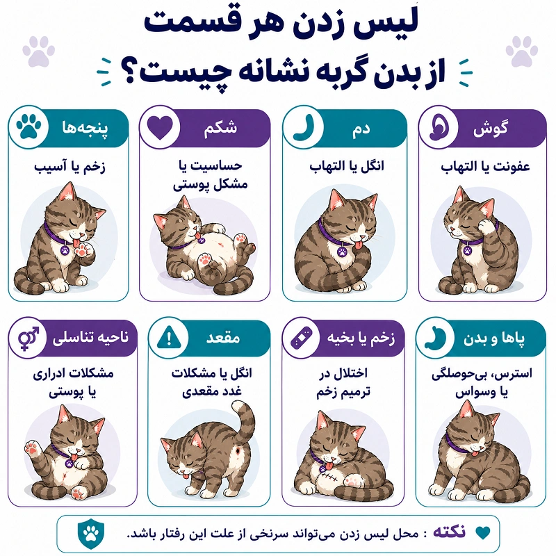 لیس زدن هر قسمت از بدن گربه نشانه چیست؟