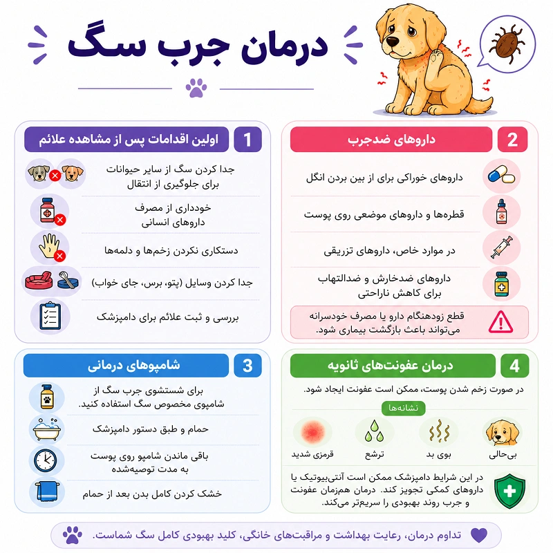 درمان جرب سگ