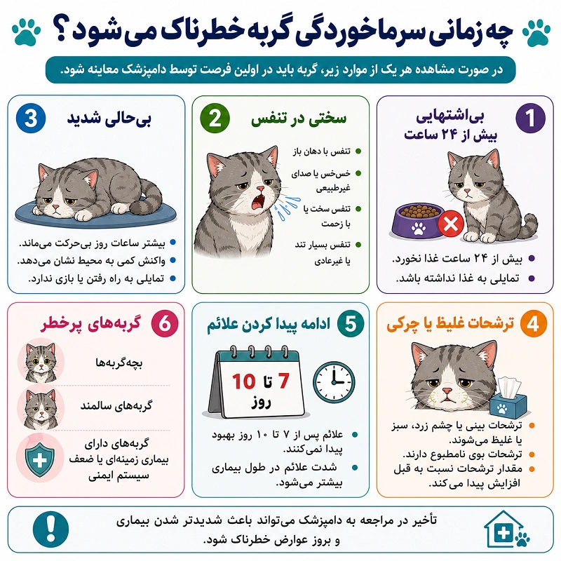 چه زمانی سرماخوردگی گربه‌ها خطرناک می‌شود؟