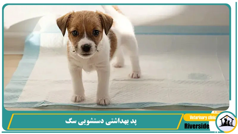  پد بهداشتی دستشویی سگ
