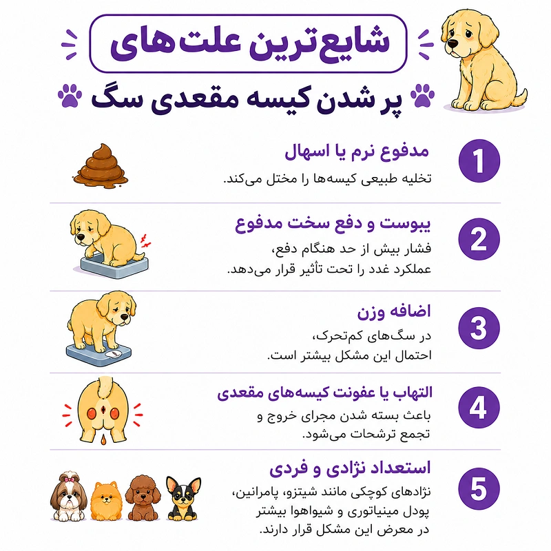 علت پر شدن کیسه مقعدی سگ