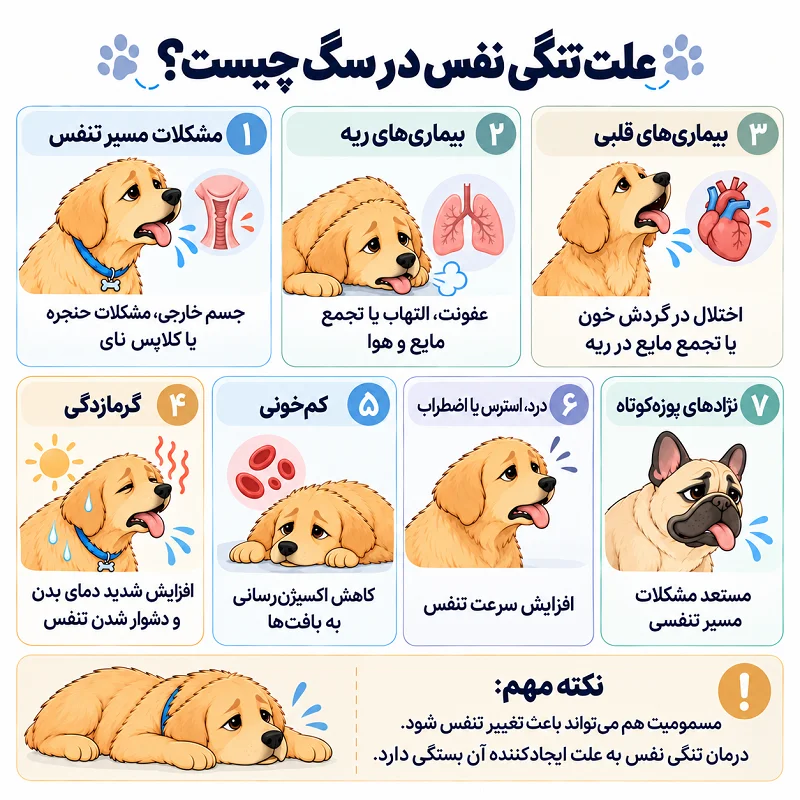 علت تنگی نفس در سگ