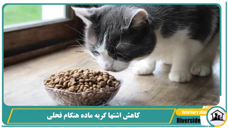 کاهش اشتها گربه ماده هنگام فحلی