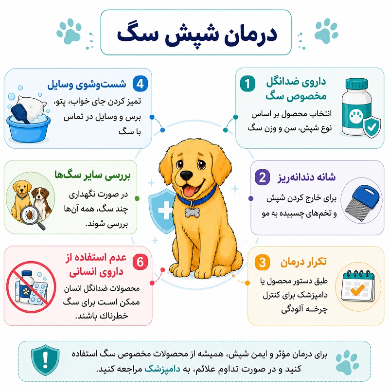 درمان شپش سگ