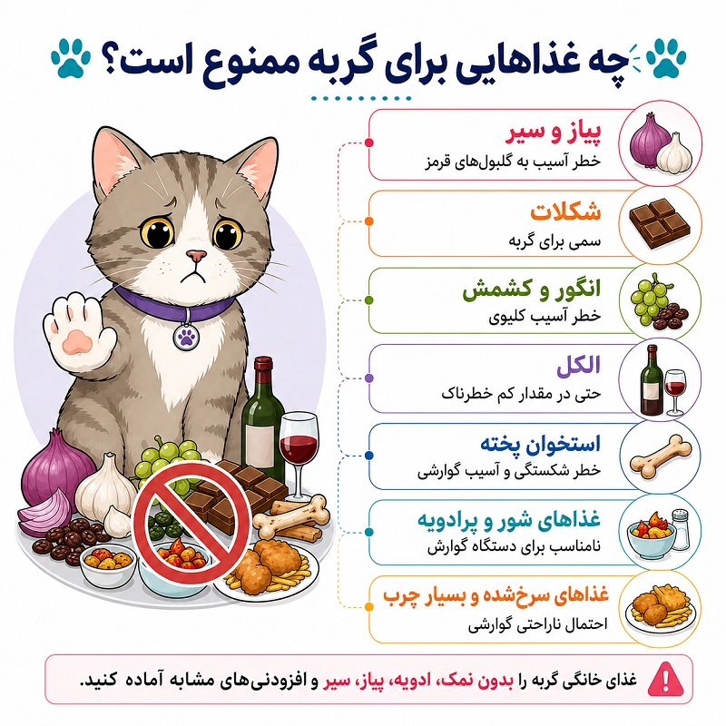 چه غذاهای برای گربه ممنوع است