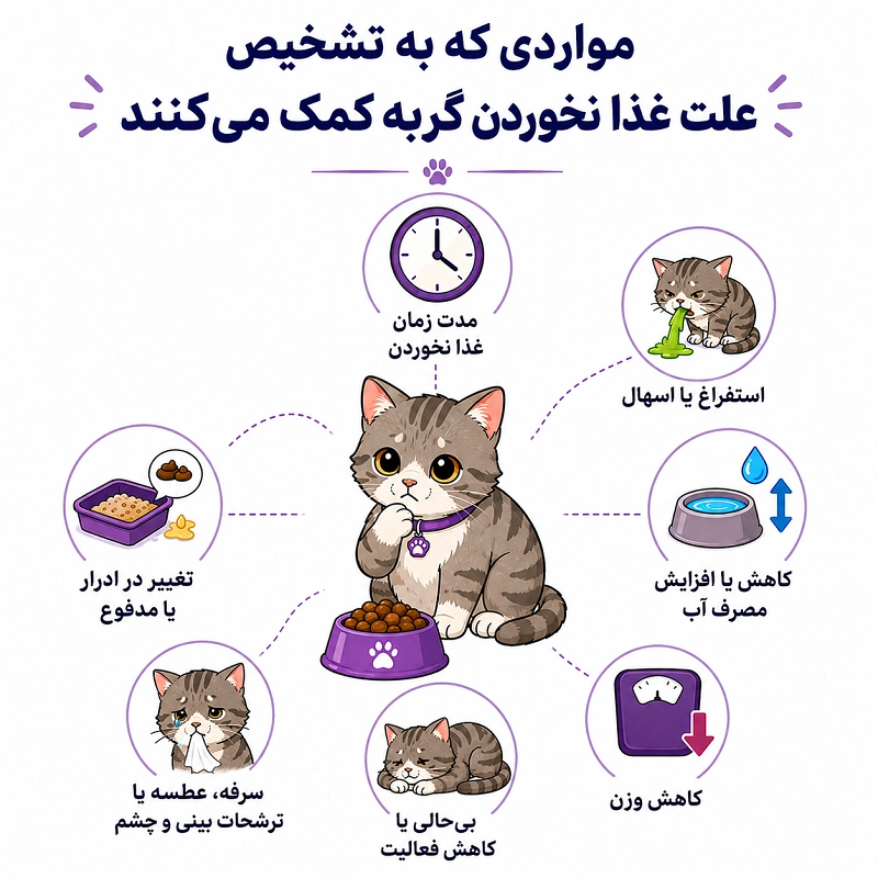 مواردی که به تشخیص علت غذا نخوردن گربه کمک می‌کنند