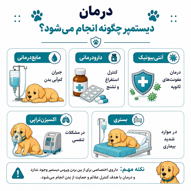 درمان دیستمپر در سگ