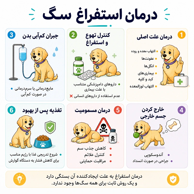 درمان استفراغ سگ