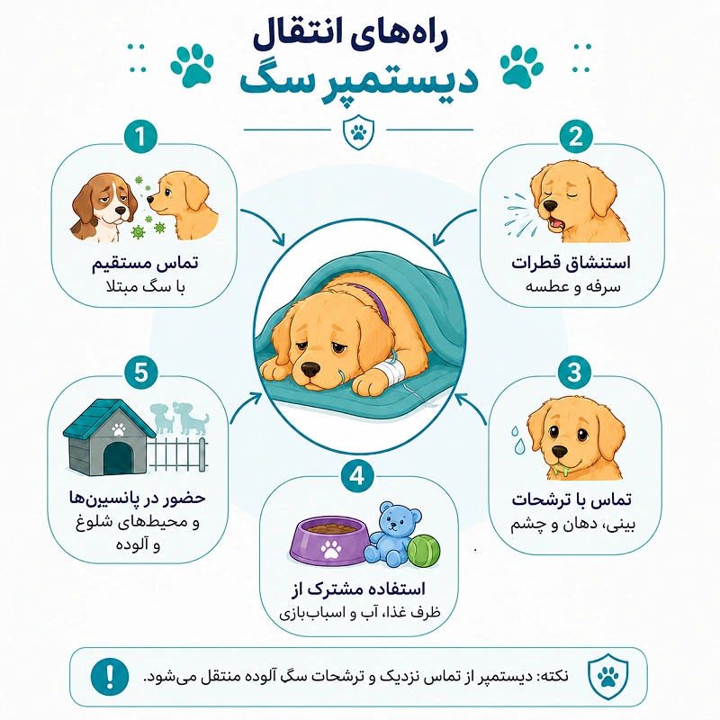 راههای انتقال دیستمپر سگ