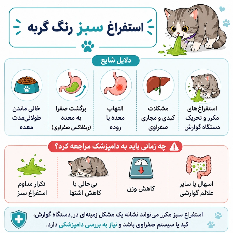 استفراغ سبز رنگ گربه نشانه چیست؟