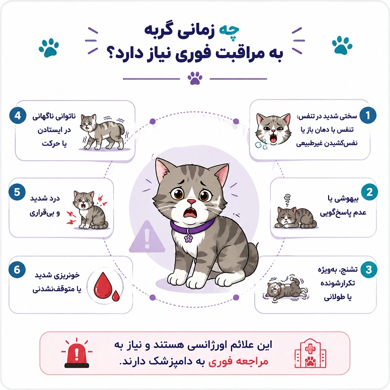 چه زمانی علائم گربه به مراقبت فوری دامپزشکی نیاز دارد؟