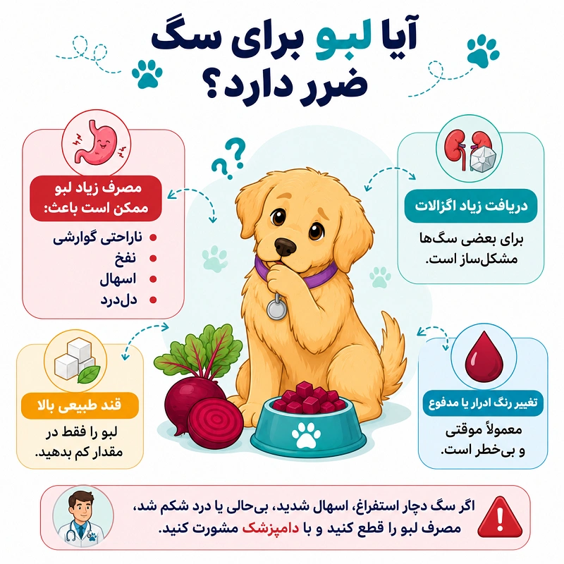 آیا لبو برای سگ ضرر دارد؟