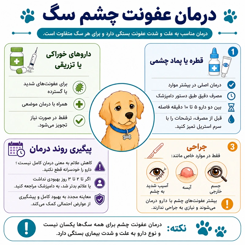 درمان عفونت چشم سگ