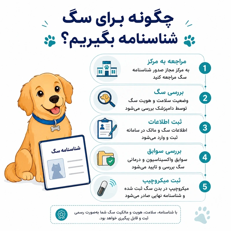 چگونه برای سگ شناسنامه بگیریم