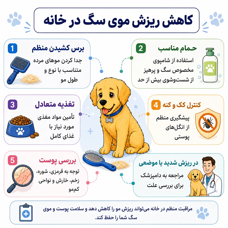 برای کاهش ریزش موی سگ در خانه چه کارهایی میتوان انجام داد؟