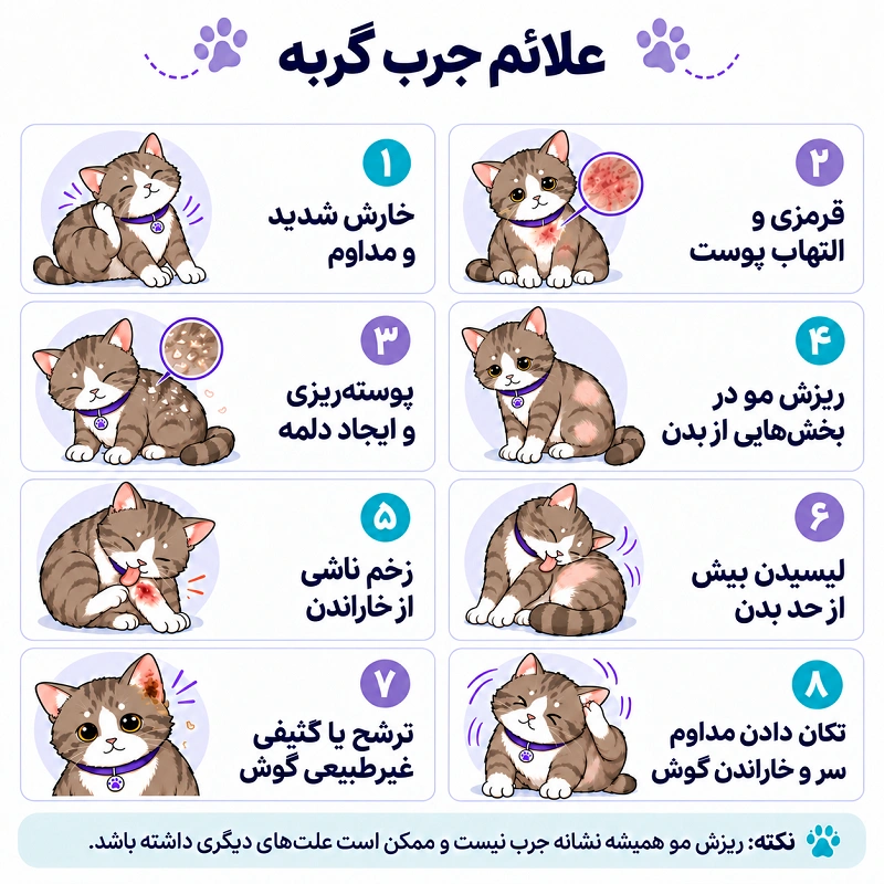 علائم جرب در گربه