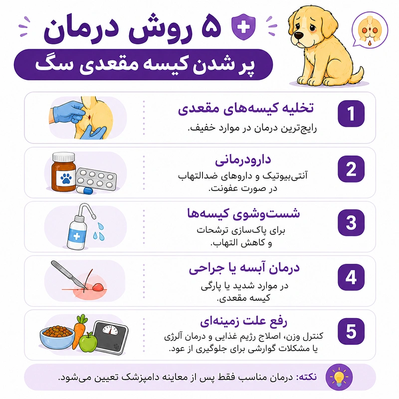 درمان پر شدن کیسه مقعدی سگ