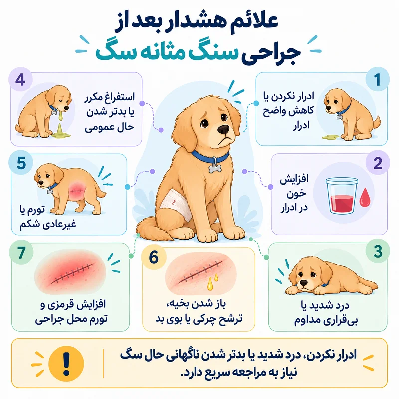 علائم هشدار بعد از جراحی سنگ مثانه سگ