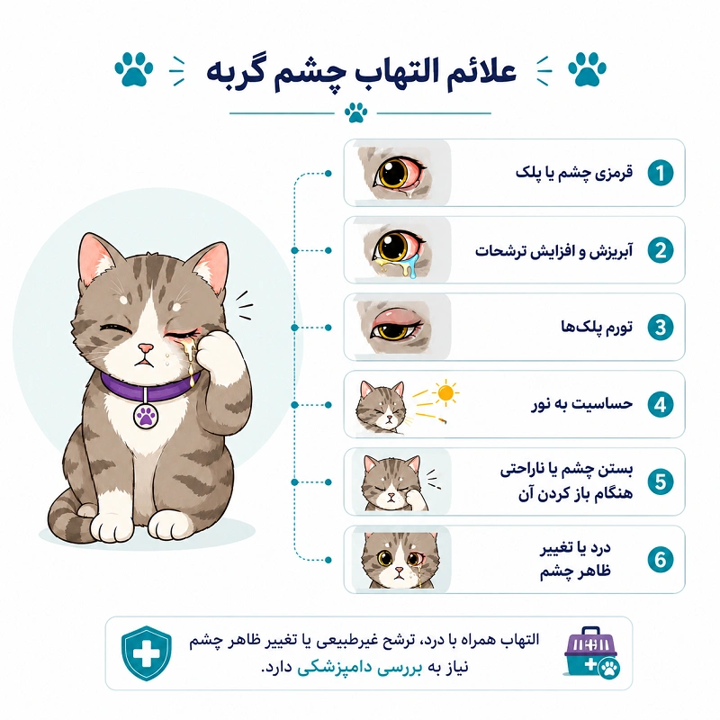 علائم التهاب چشم در گربهها چیست؟