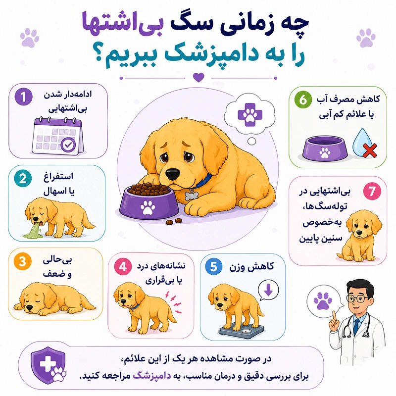 چه زمانی بی اشتهایی سگ نیاز به مراجعه فوری به دامپزشک دارد