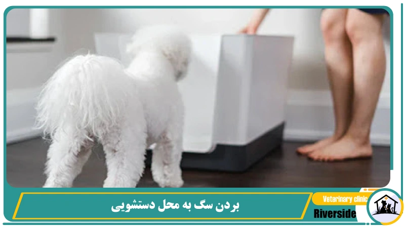 بردن سگ به محل دستشویی